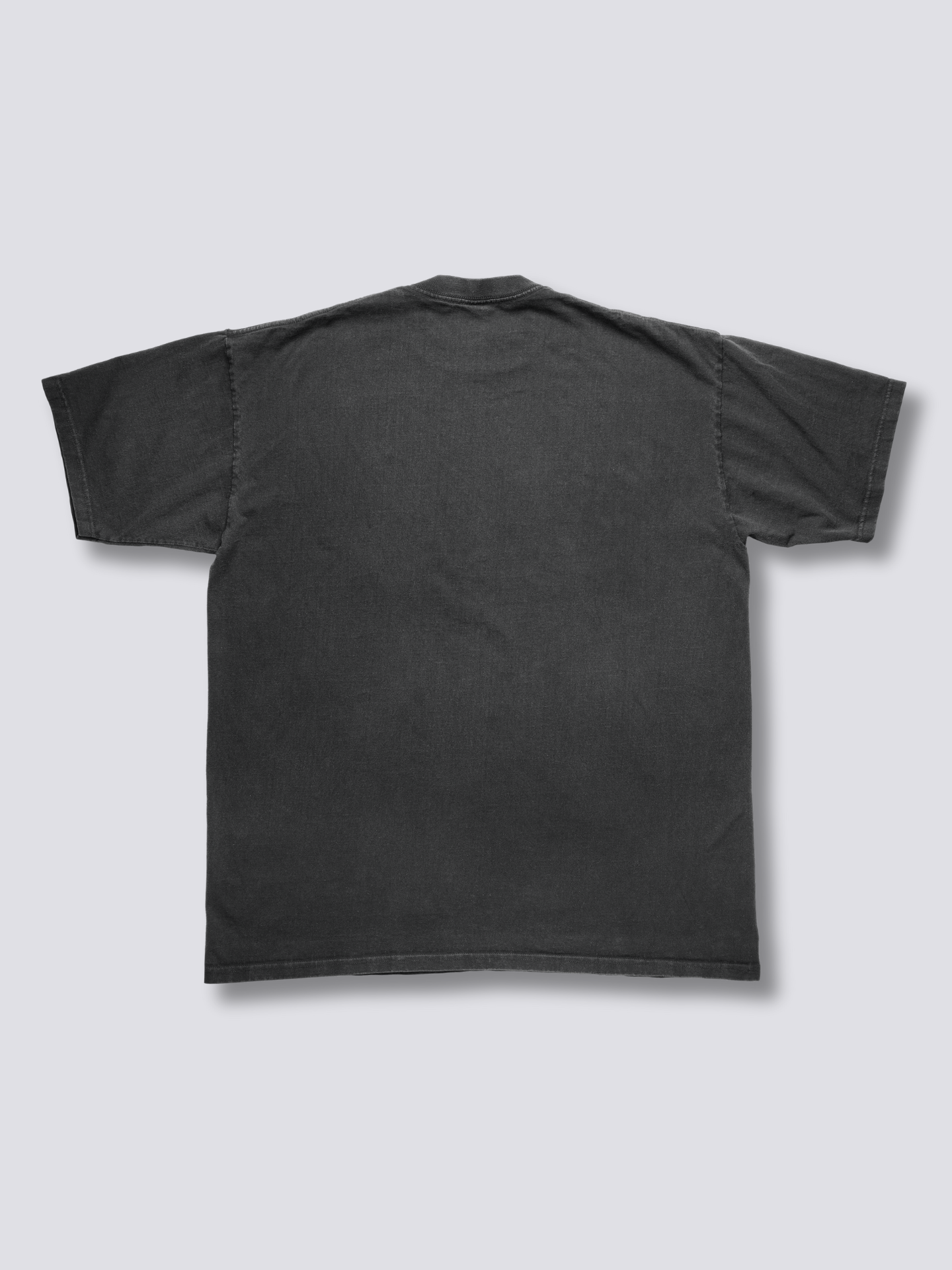 Mount Fuji Vintage T-Shirt