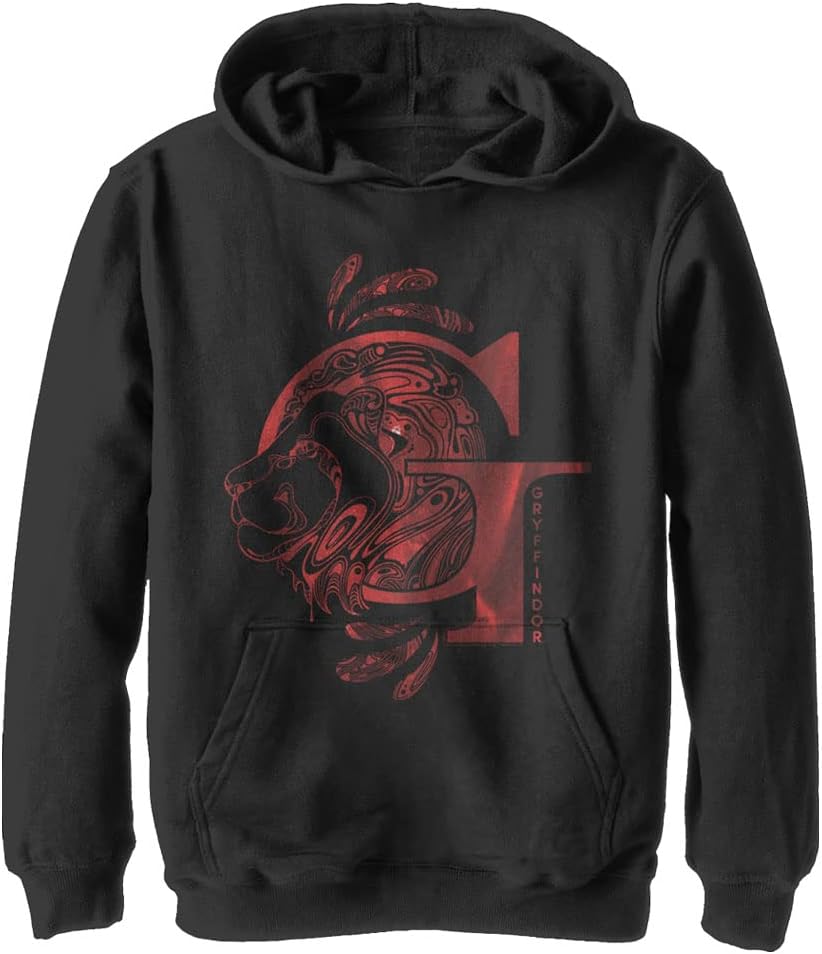 Harry Potter Kids Deathly Hallows Gryffindor Youth Pullover Hoodie