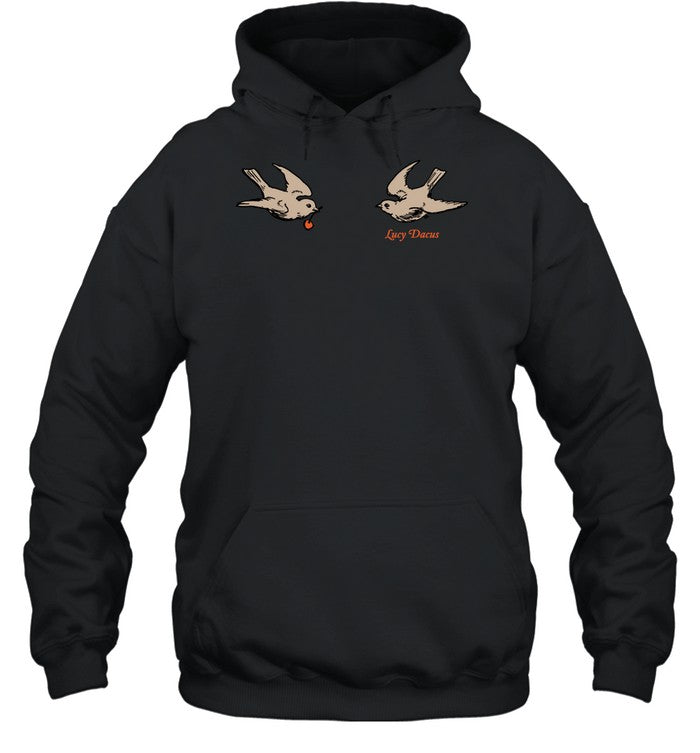Lucy Dacus Swallows Unisex Hoodie