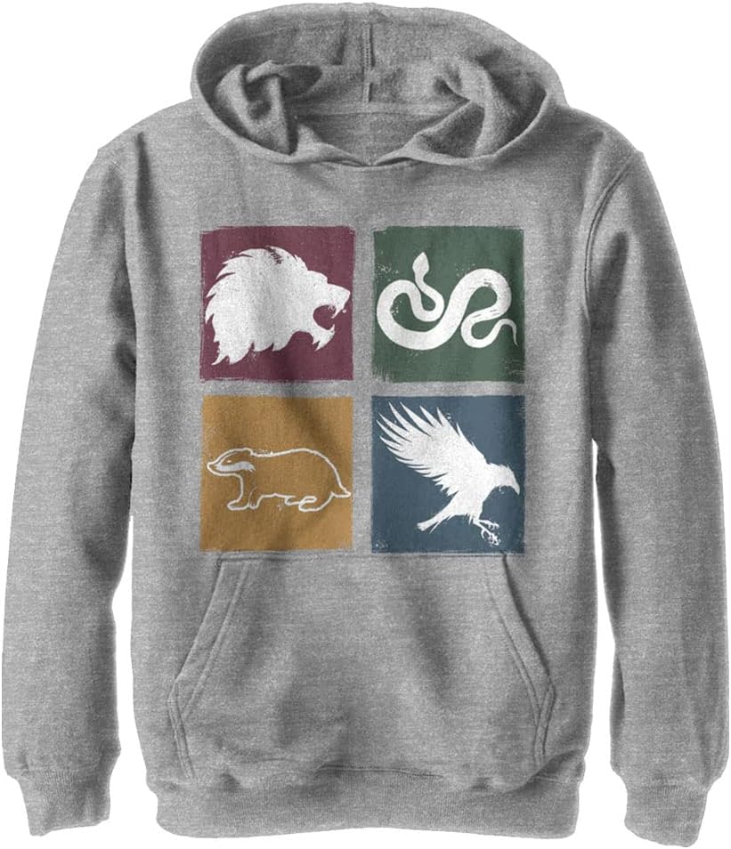 Harry Potter Kids Deathly Hallows House Distressed Pasteup Youth Pullover Hoodie