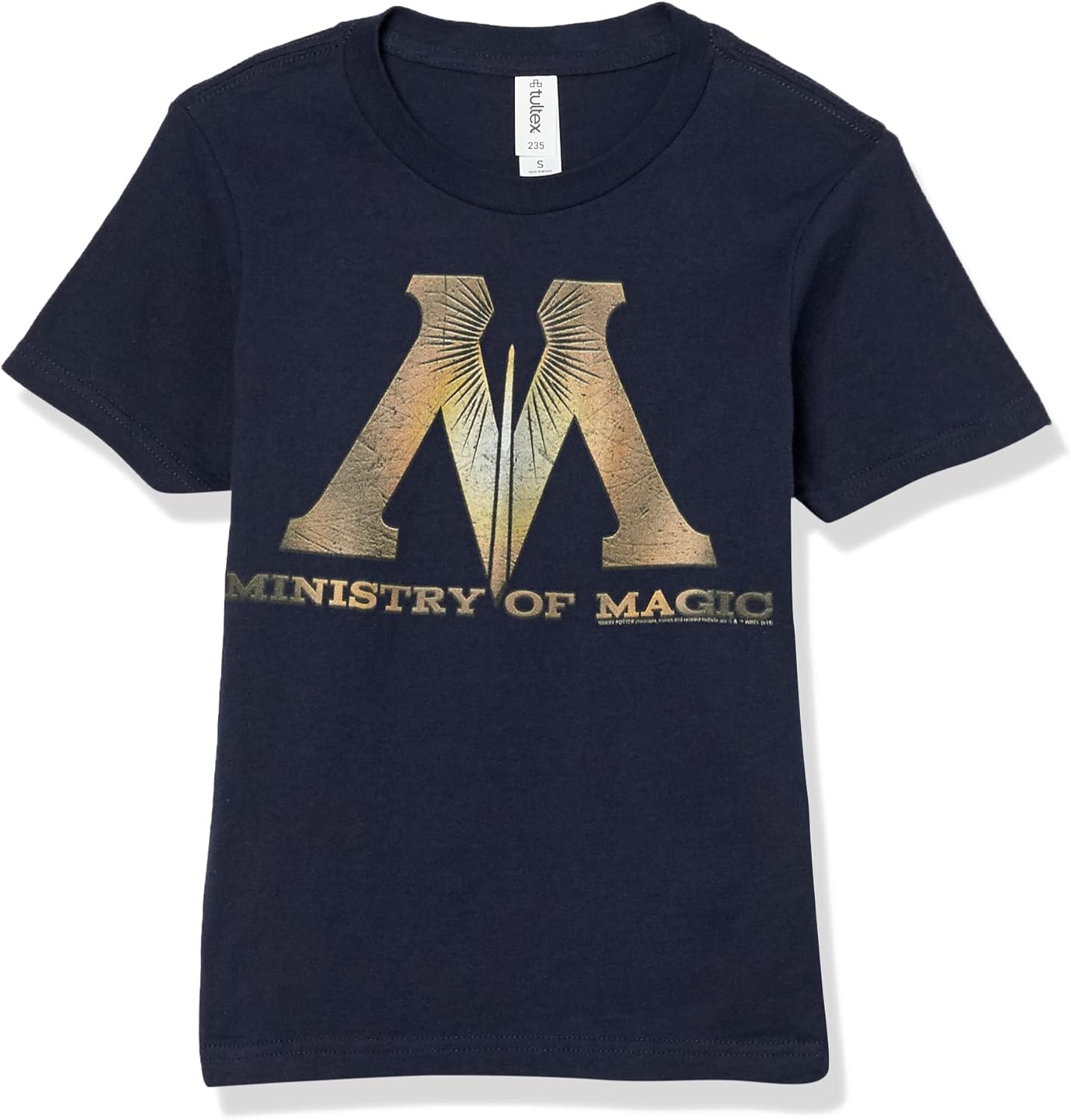 Harry Potter Kids Ministry of Magic Logo Youth Pullover Hoodie