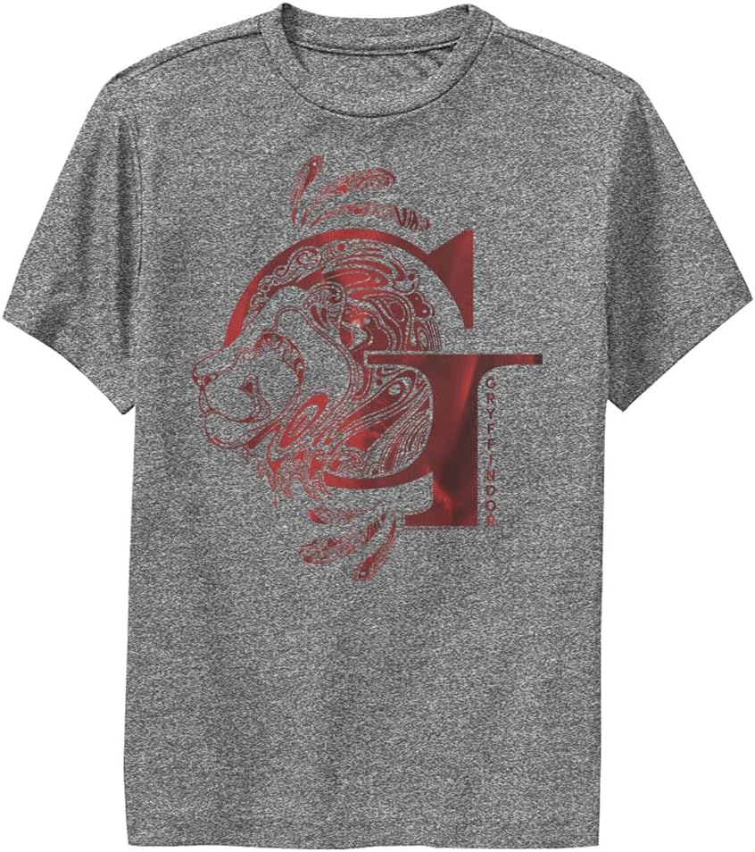 Harry Potter Kids Deathly Hallows Gryffindor Youth Pullover Hoodie