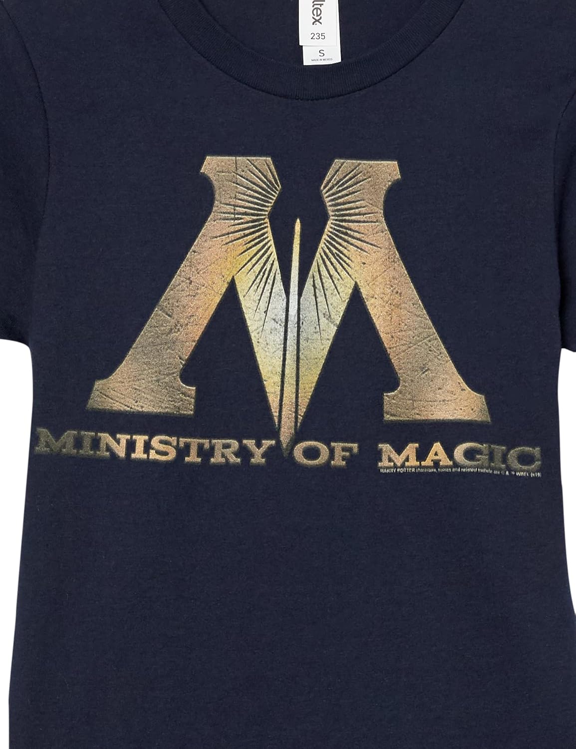 Harry Potter Kids Ministry of Magic Logo Youth Pullover Hoodie