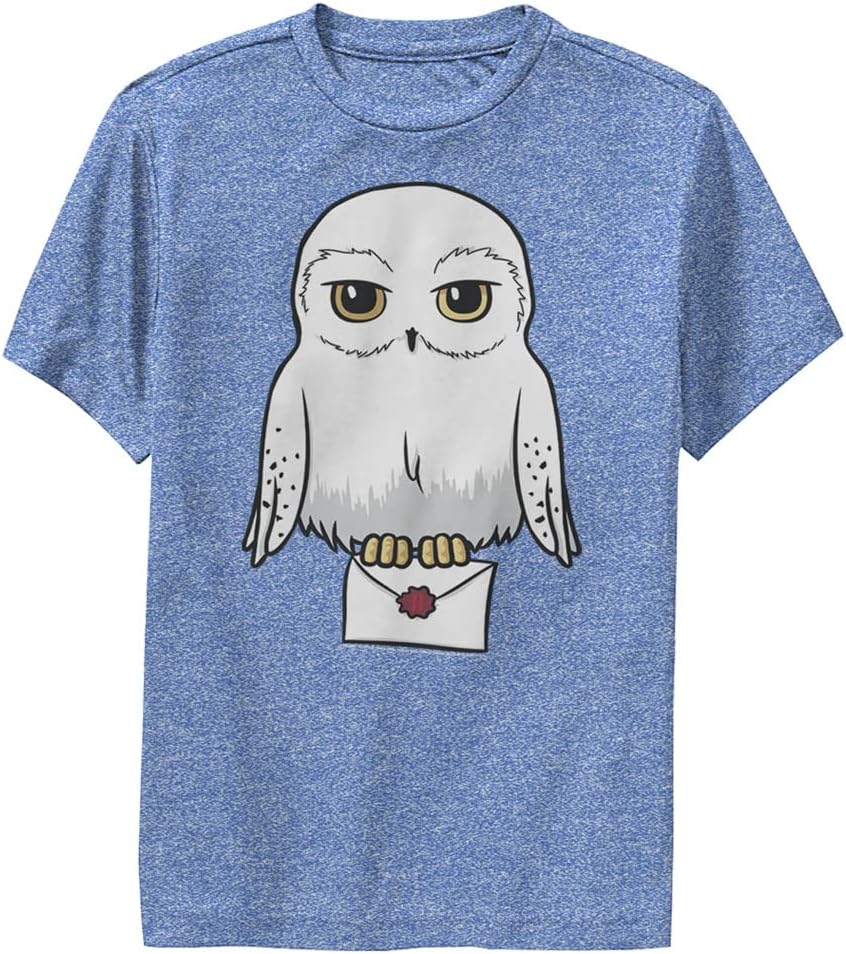 Harry Potter Kids Deathly Hallows Anime Hedwig Mail Youth Pullover Hoodie