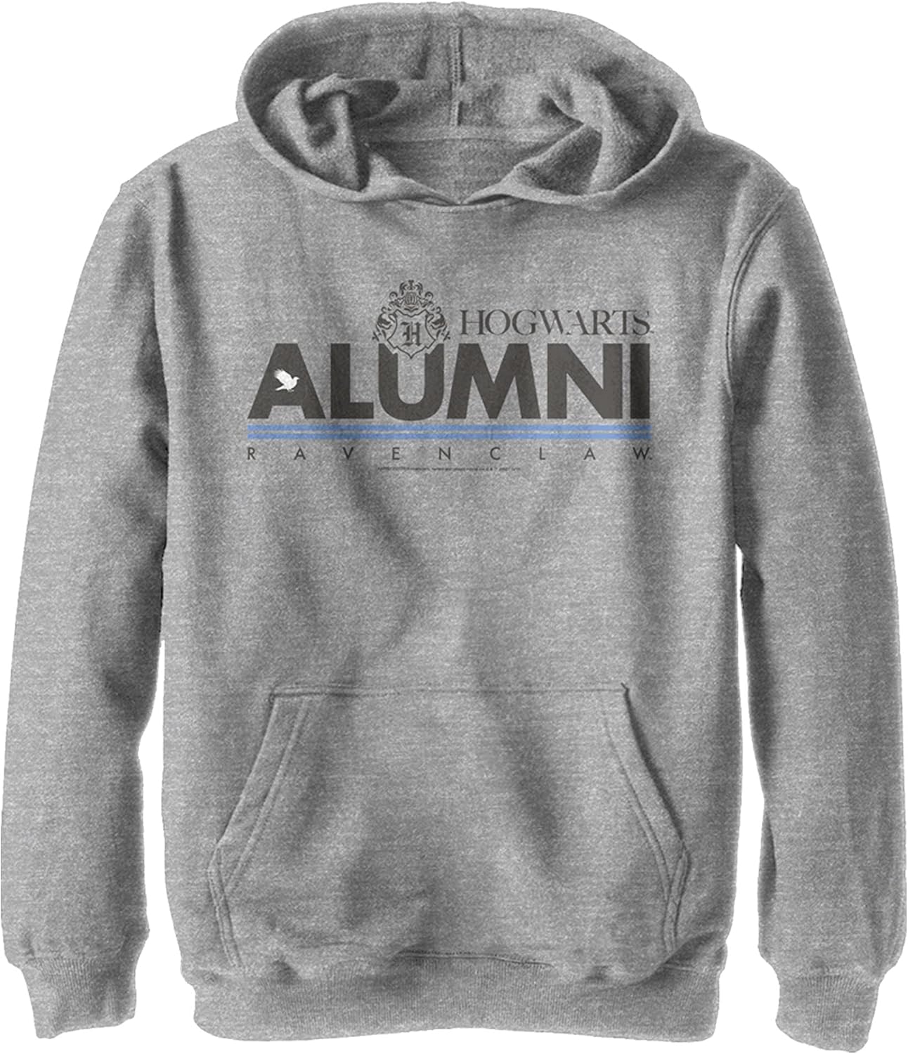 Harry Potter Kids Deathly Hallows Alumni Ravenclaw Youth Pullover Hoodie