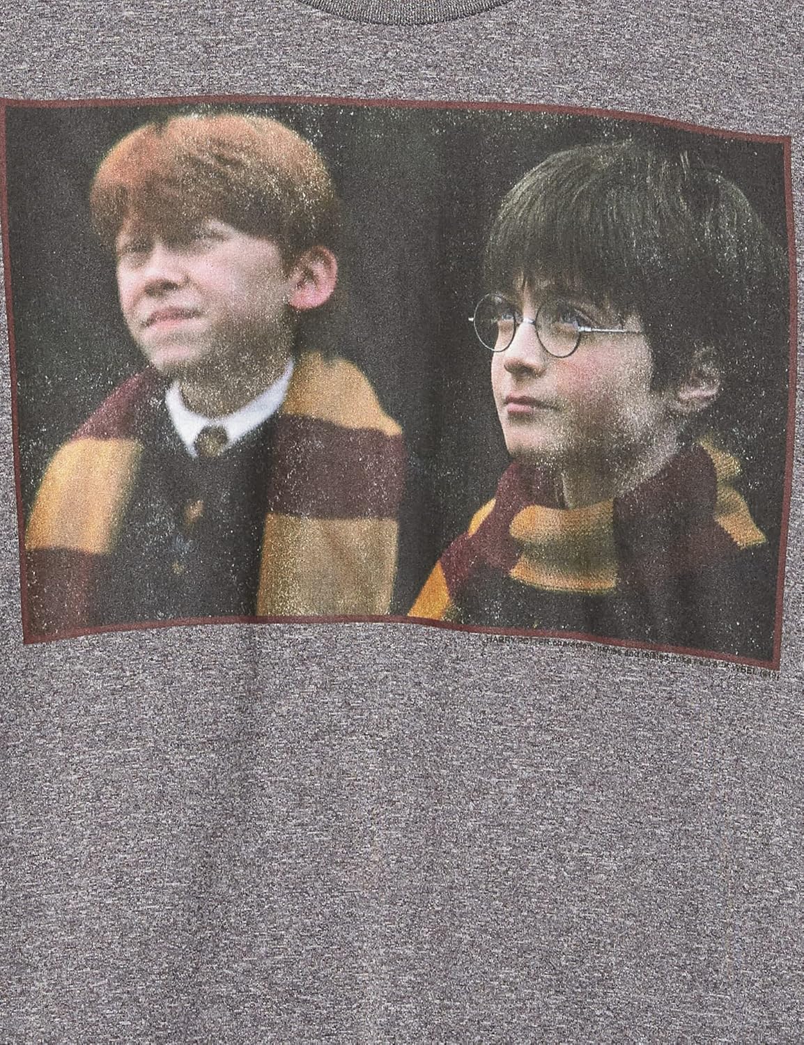 Harry Potter Kids Sorcerer's Stone Young Harry Youth Pullover Hoodie