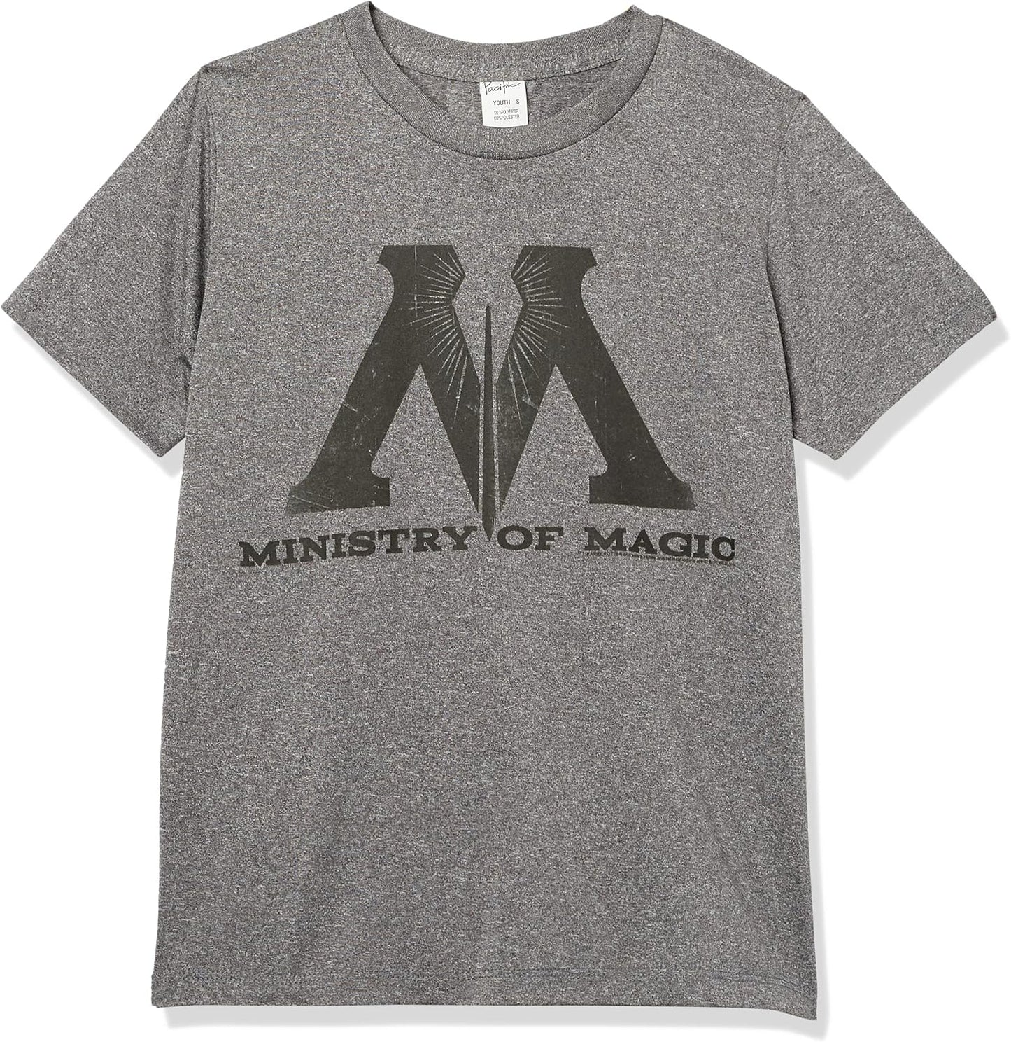 Harry Potter Kids Ministry of Magic Logo Youth Pullover Hoodie