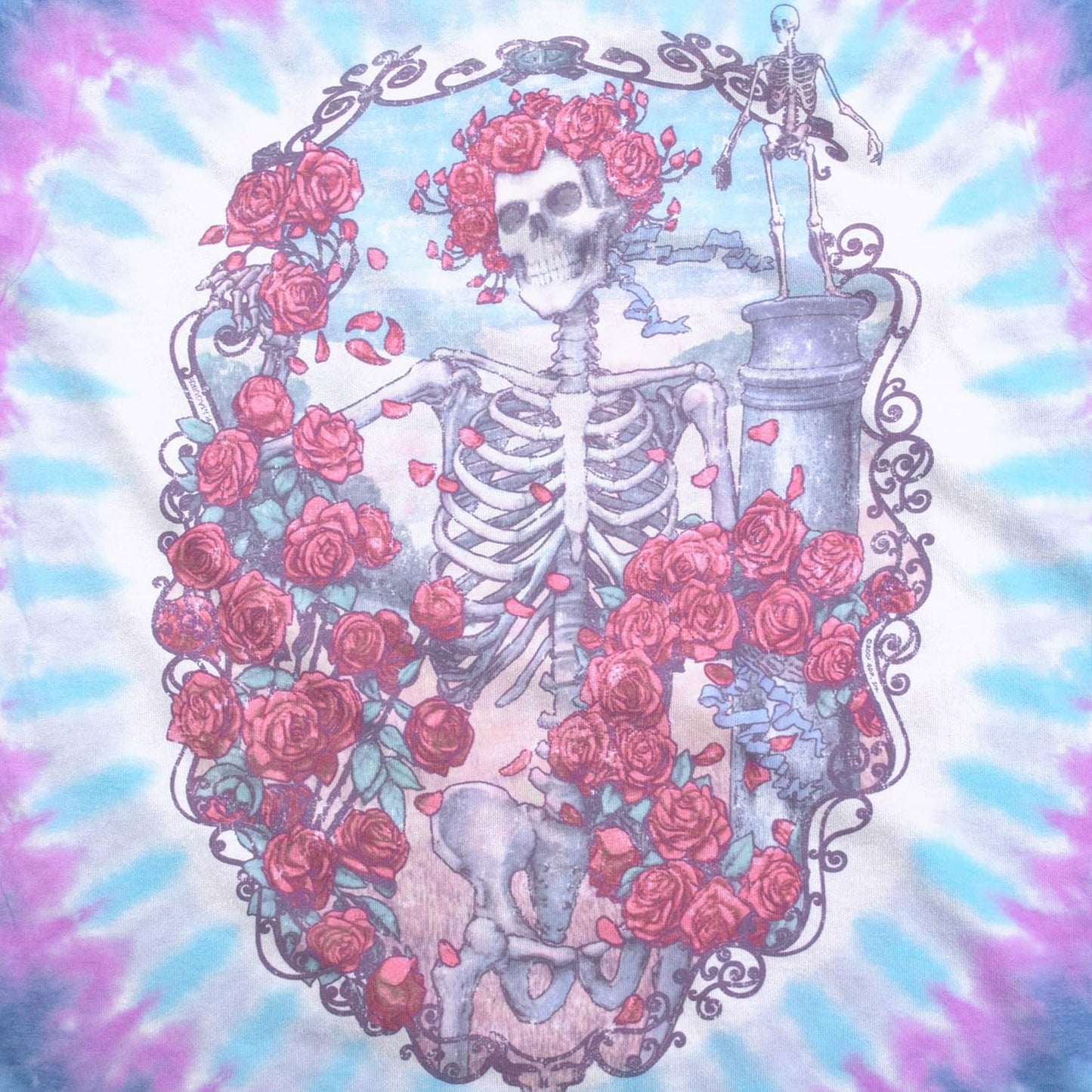 Liquid Blue Unisex-Adult Standard Grateful Dead Vintage 30th Anniversary Ss Tee