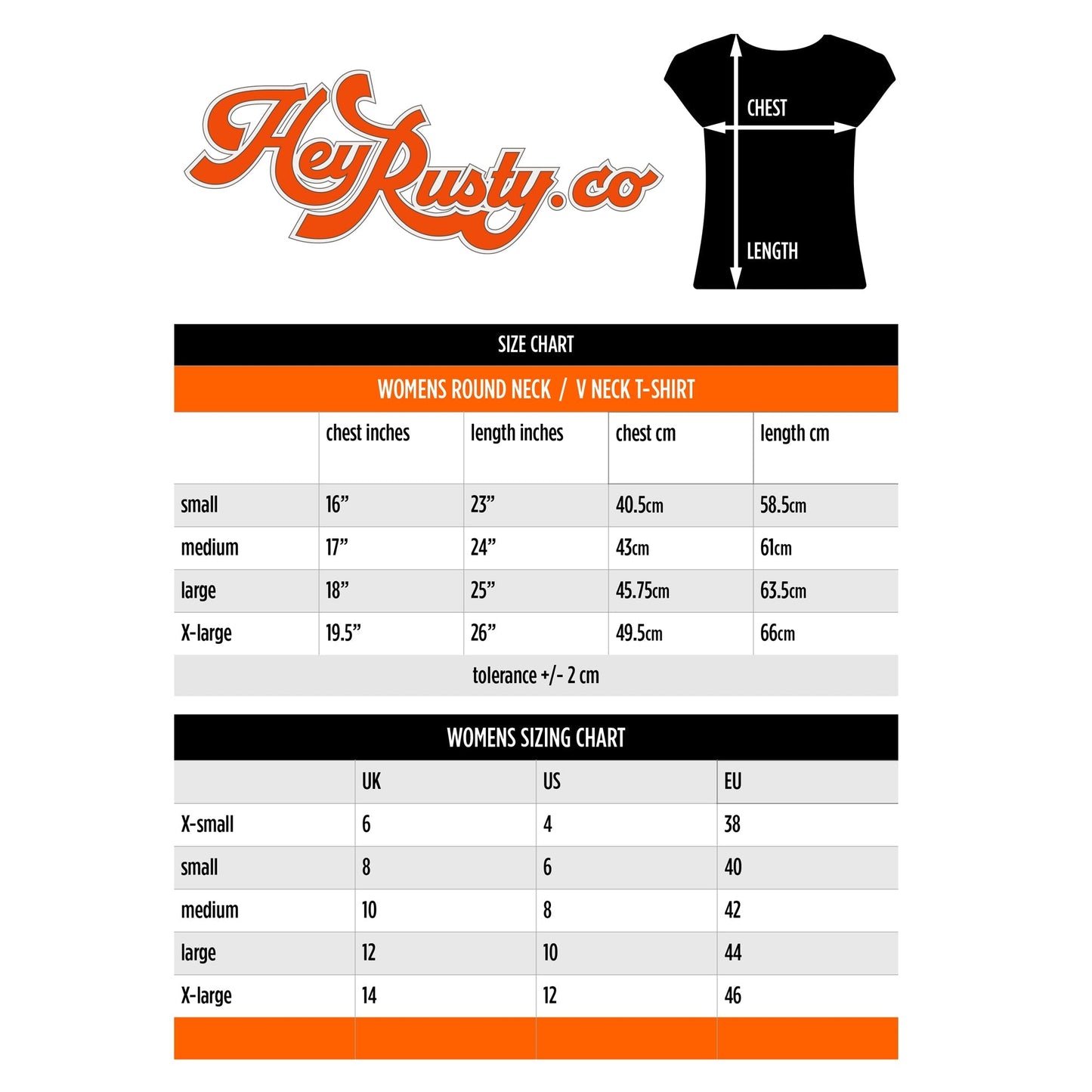 Foo Fighters Ladies T-Shirt: Text Logo (Ex-Tour)