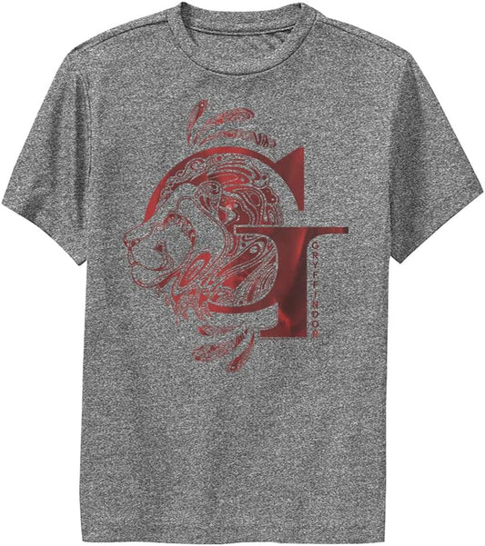 Harry Potter Kids Deathly Hallows Gryffindor Youth Pullover Hoodie