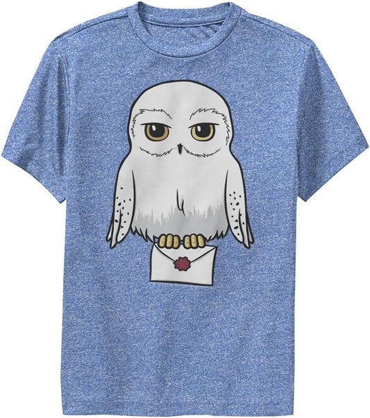 Harry Potter Kids Deathly Hallows Anime Hedwig Mail Youth Pullover Hoodie